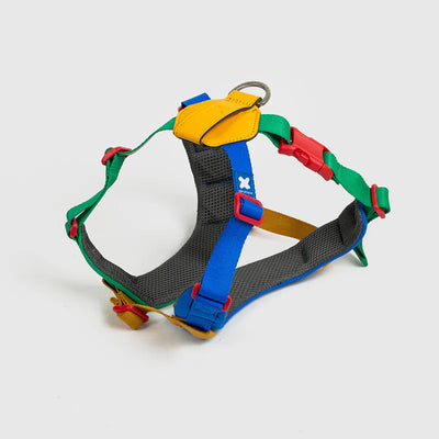 10TH YEAR - Harness