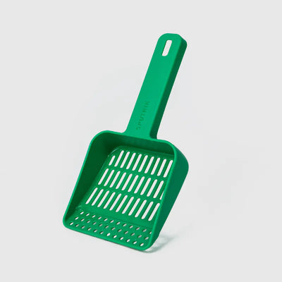 10TH YEAR - Cat Litter Box