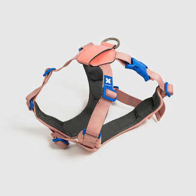 10TH YEAR - Harness