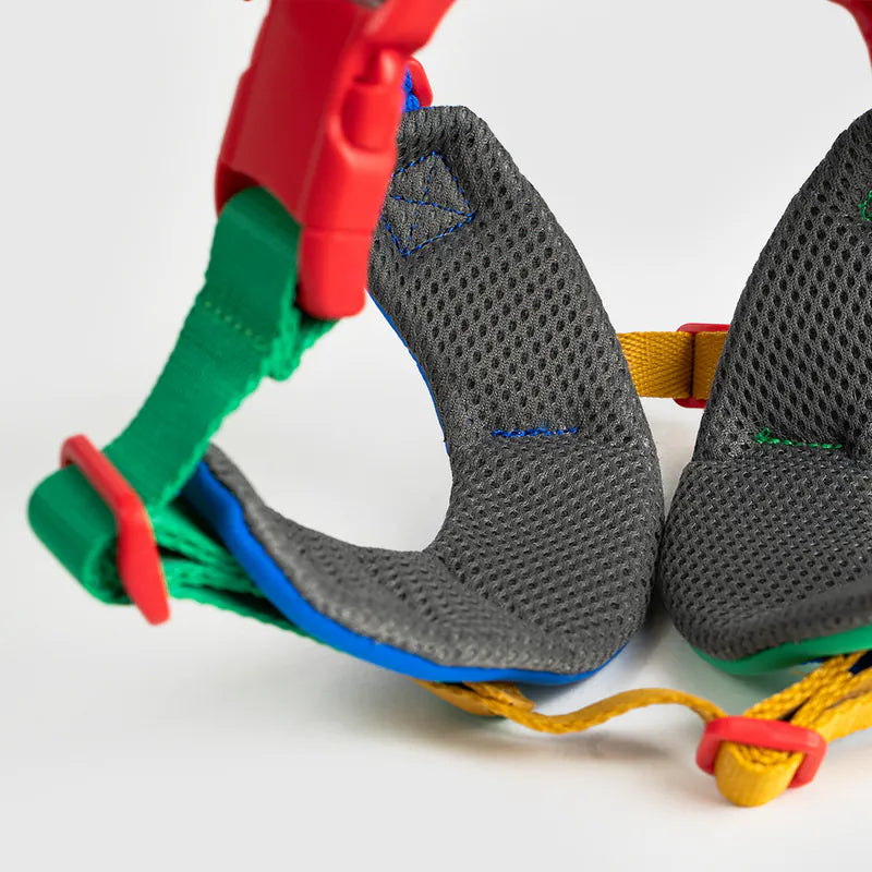 10TH YEAR - Harness