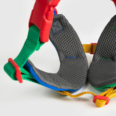 10TH YEAR - Harness