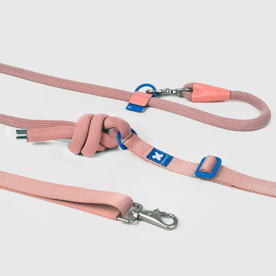 10TH YEAR - Leash