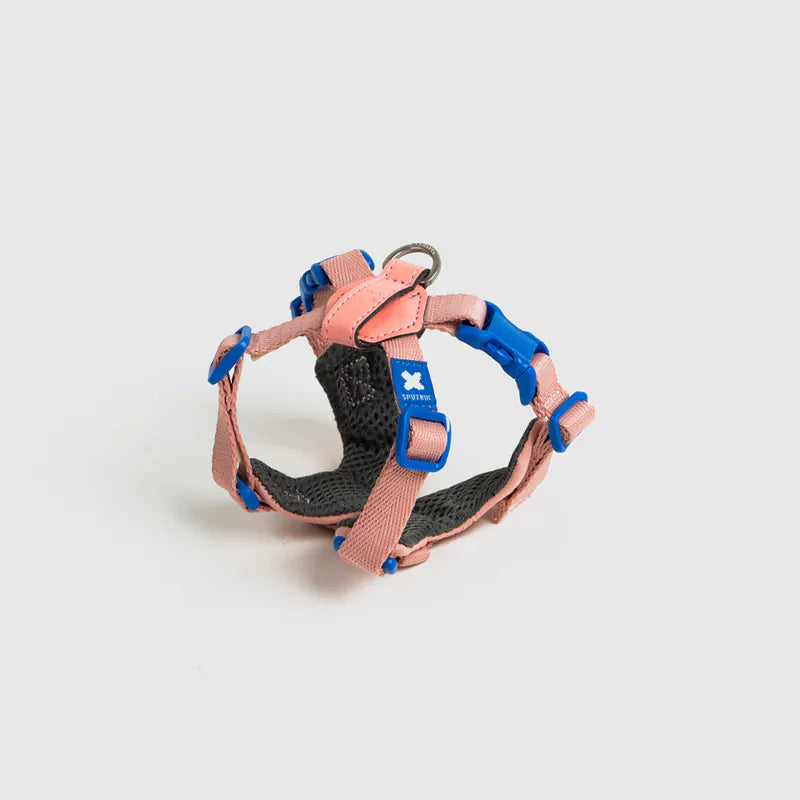 10TH YEAR - Harness