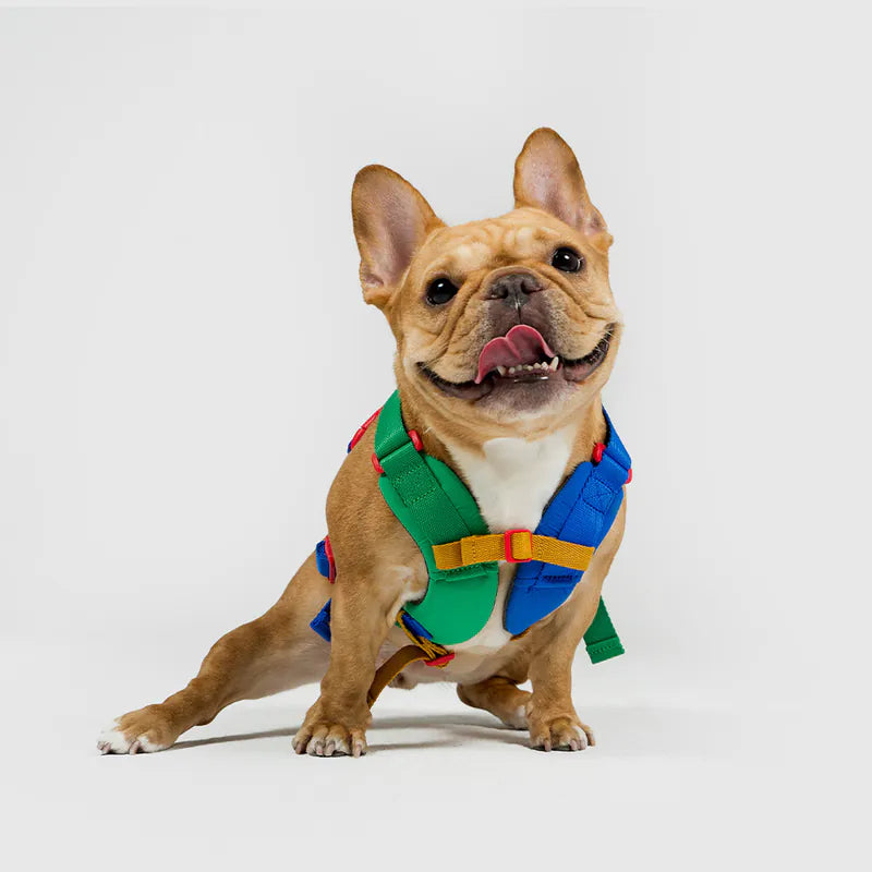 10TH YEAR - Harness