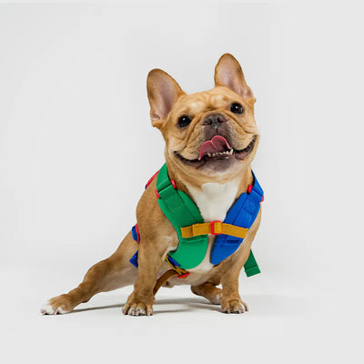 10TH YEAR - Harness