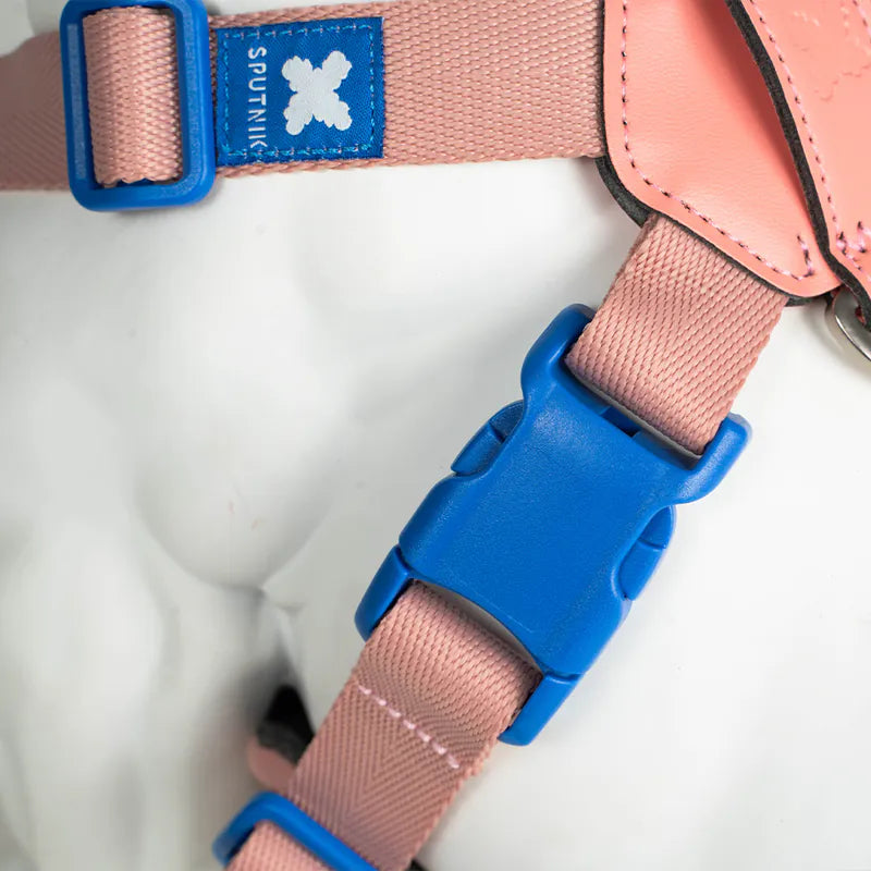 10TH YEAR - Harness