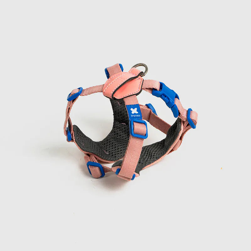 10TH YEAR - Harness