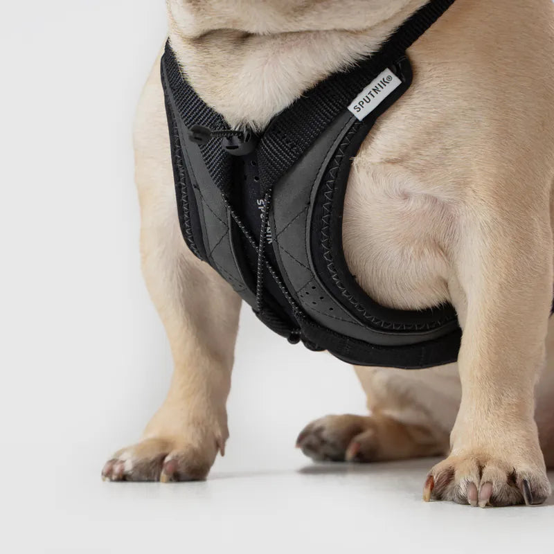 Ultra Explore - Harness