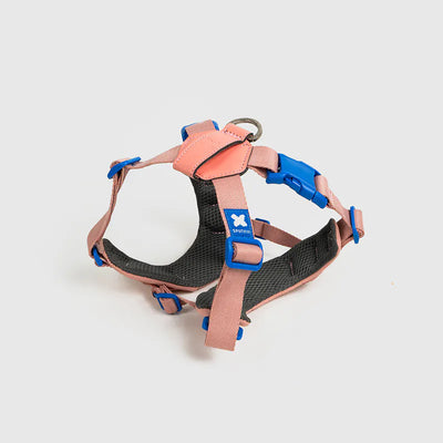10TH YEAR - Harness