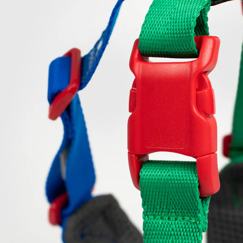 10TH YEAR - Harness