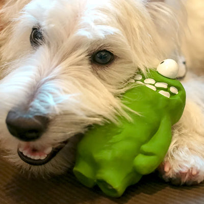 Big Thumb Rubber Dog Toy