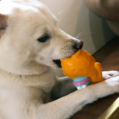 Swallow One Rubber Dog Toy