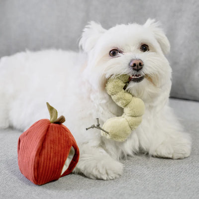 Apple - Crinkly + Burrow Toy