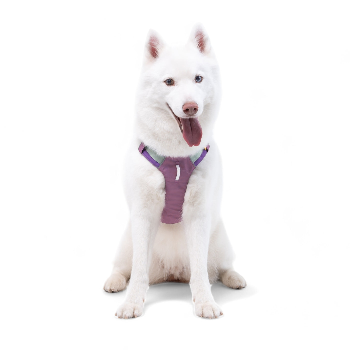 【PRE-ORDER】Alpha 360 Harness - Mauve Mix