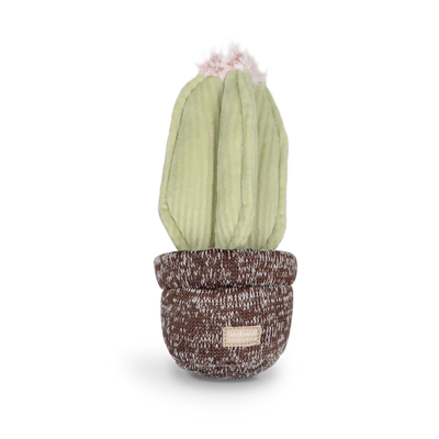 Cactus - Snuffle + Squeaky Toy