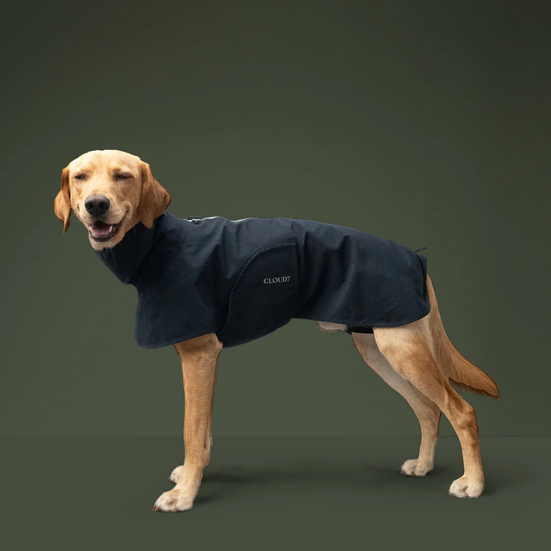 Dog Raincoat Helgoland