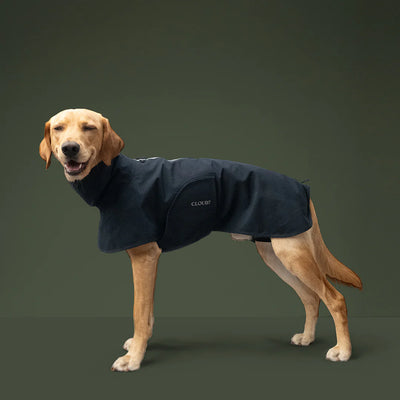 Dog Raincoat Helgoland