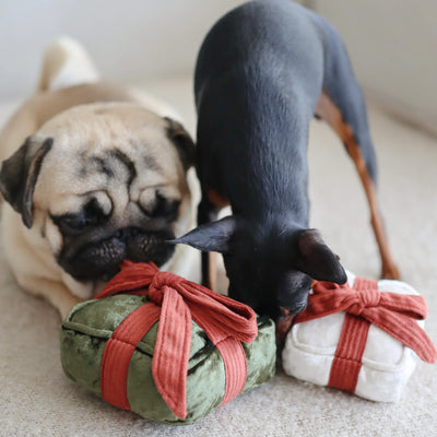 Holiday Box Dog Toy