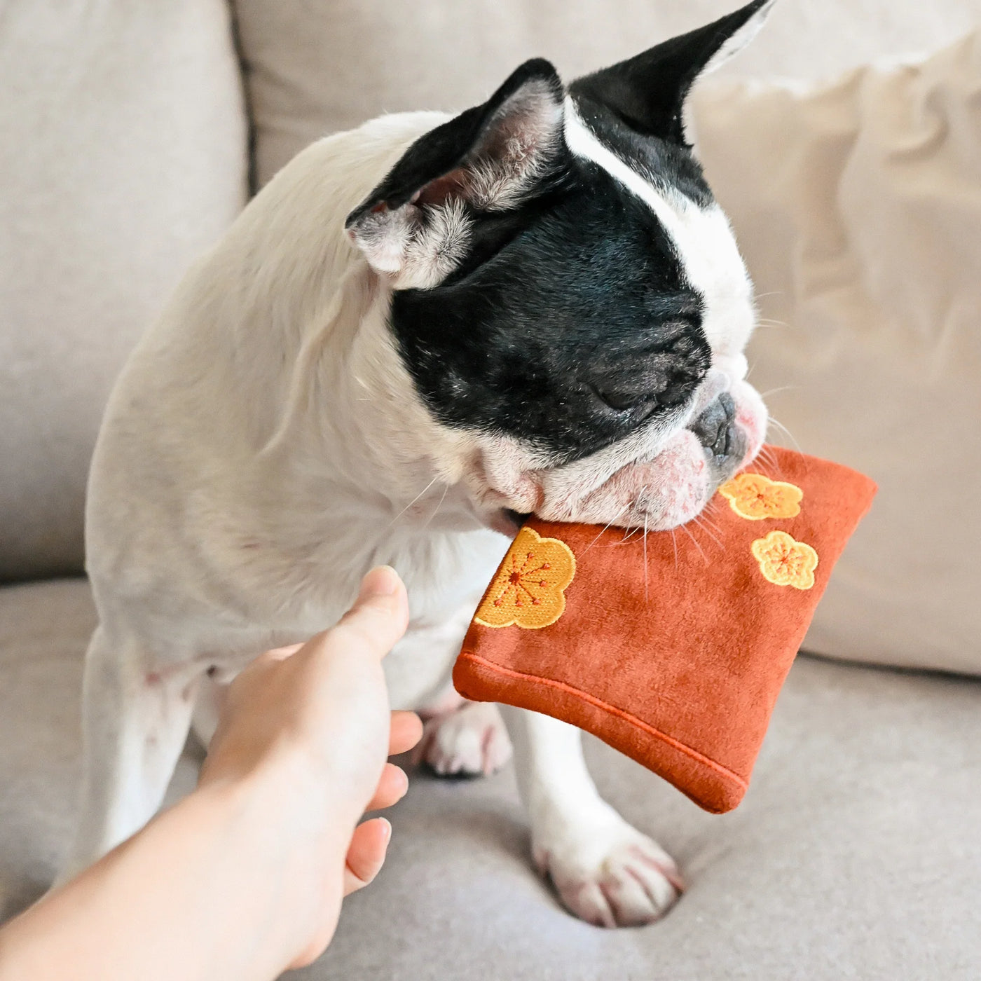 RED POCKET Dog Toy (set of 2)