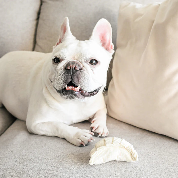 DIM SUM Dog Toy (set of 2) – Petisan