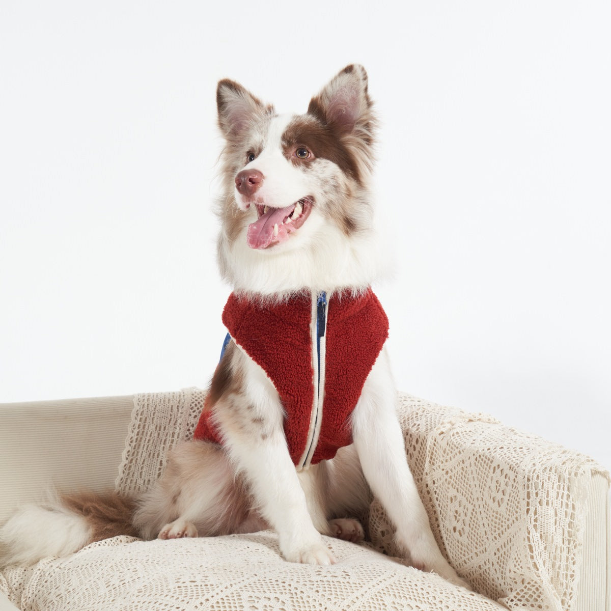 Double Sided Fleece Vest (medium to large breed)