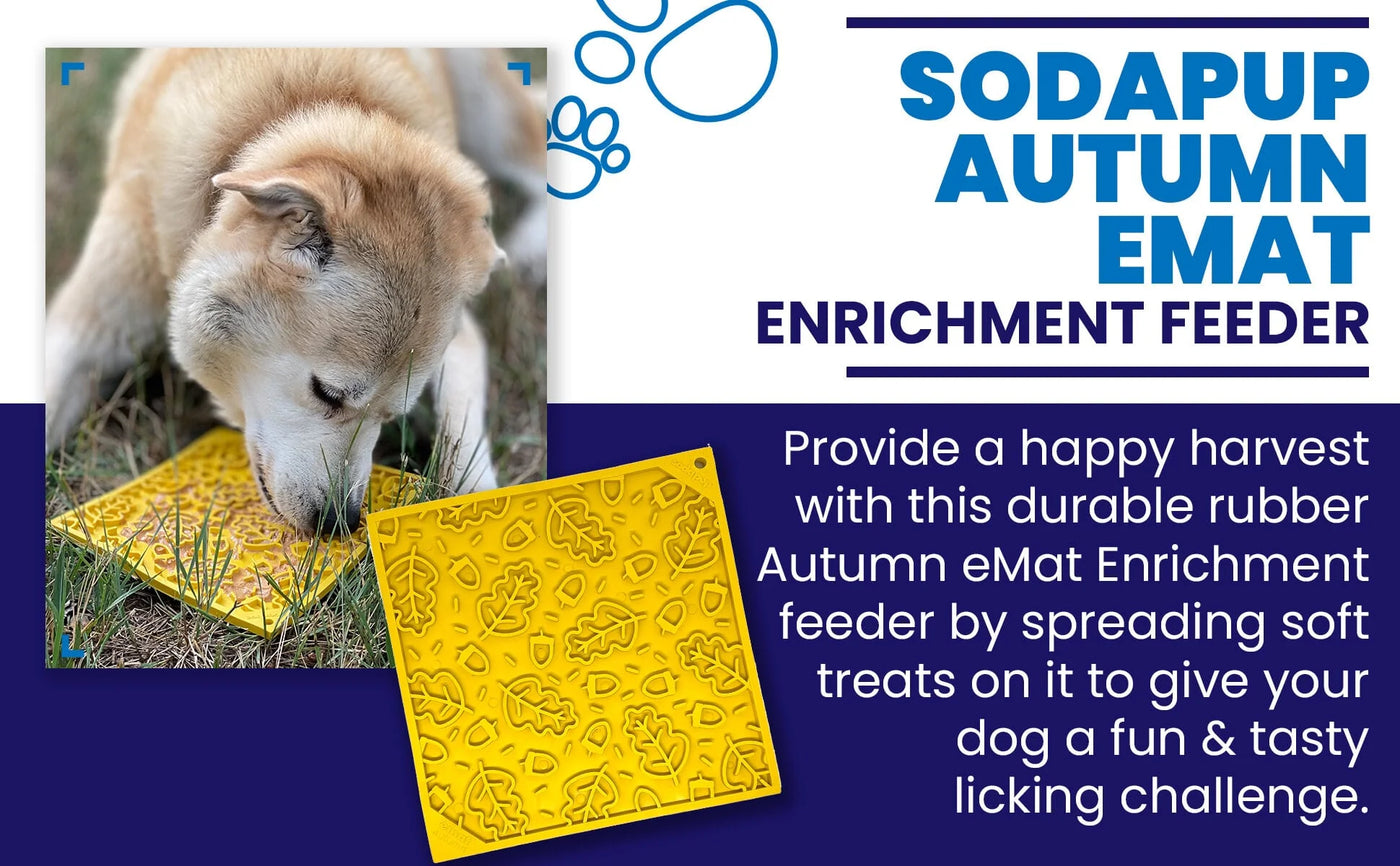 SP Enrichment Lick Mat - Autumn