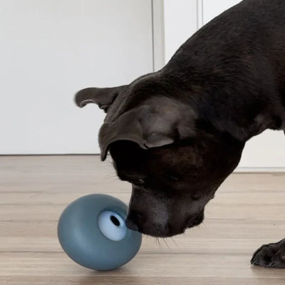 Lunoji Pebble - Dog Enrichment Toy