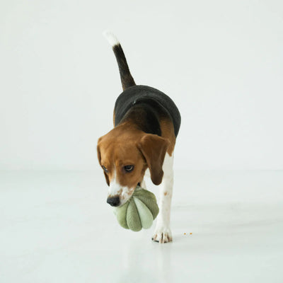 TOTO - ULTRASONIC Snuffle Ball