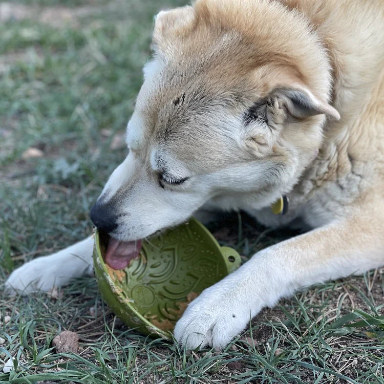 Garden of Eatin' - Tipsy Licking Bowl