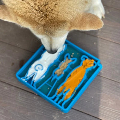 SP Waiting Dogs Enrichment Food Tray