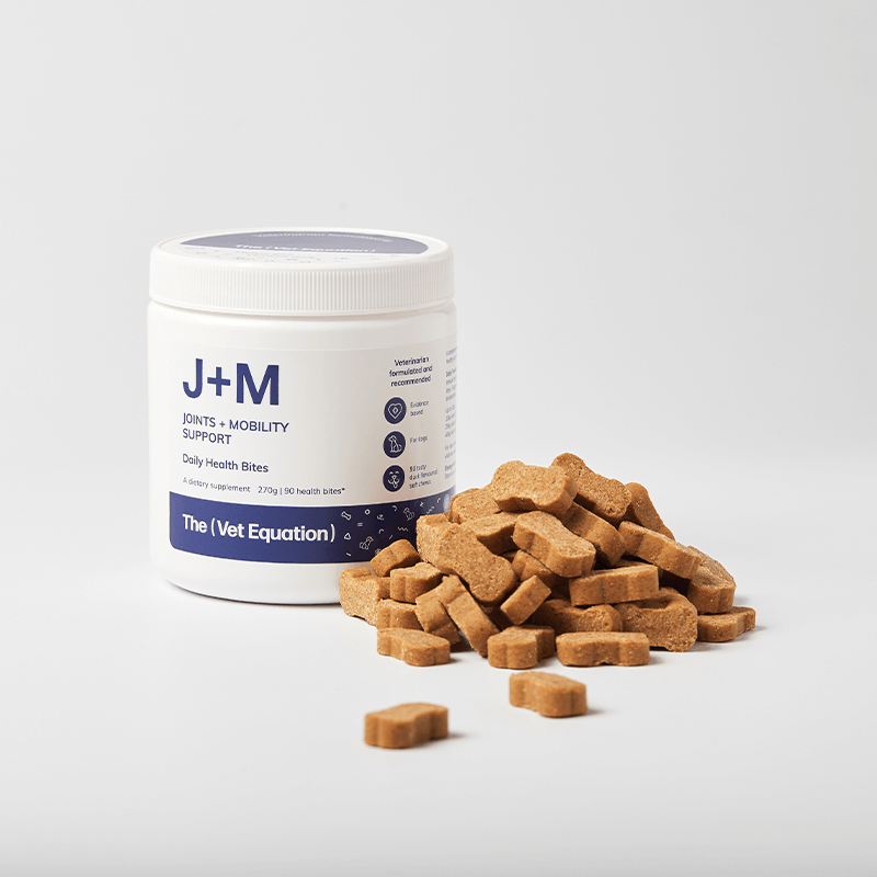 J+M Joints and Mobility Support