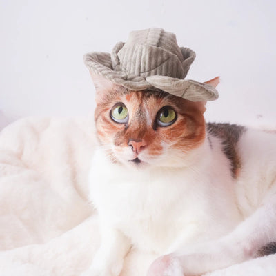 KITTY VEGGIE SET - tinkly + catnip