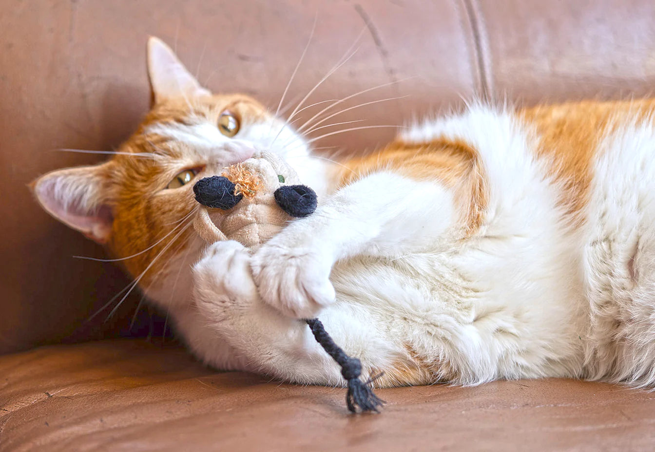 Feline Frenzy - Halloween Cat Toy - Menacing Mice