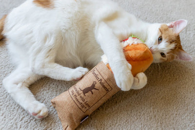 Feline Frenzy - Tuna Baguette Kicker Toy