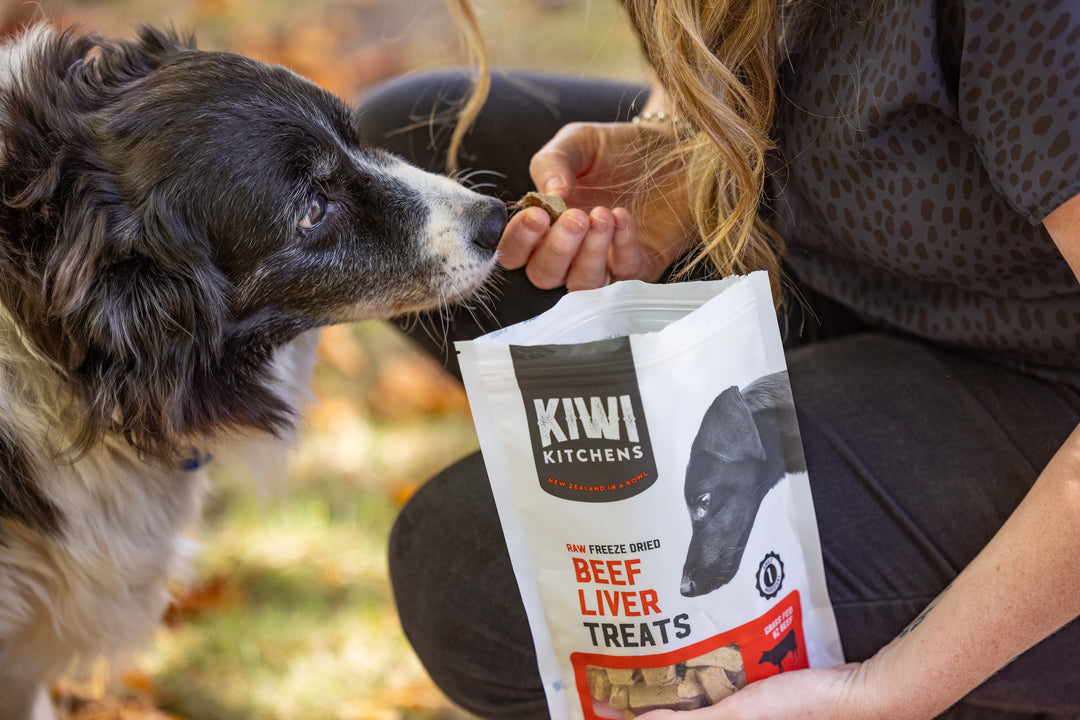 Kiwi freeze dried dog food best sale