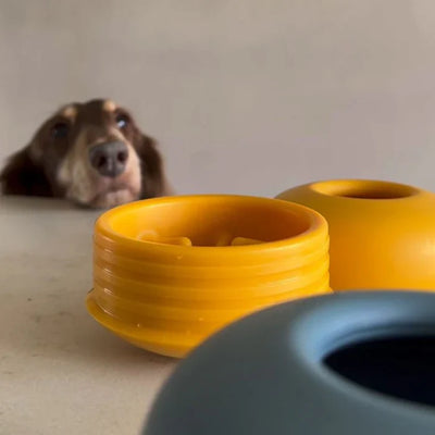 Lunoji Pebble - Dog Enrichment Toy