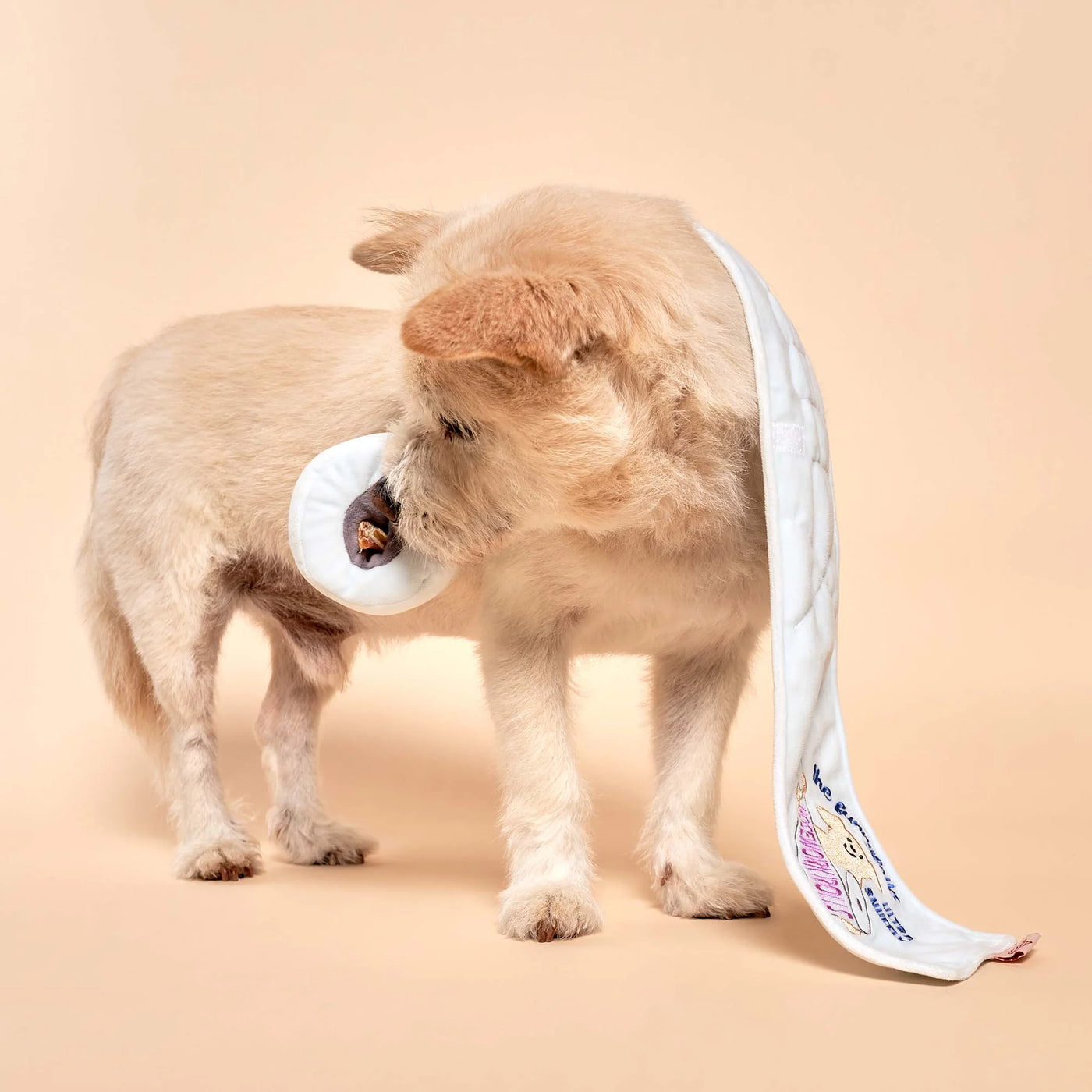 Toilet Paper Nosework Toy