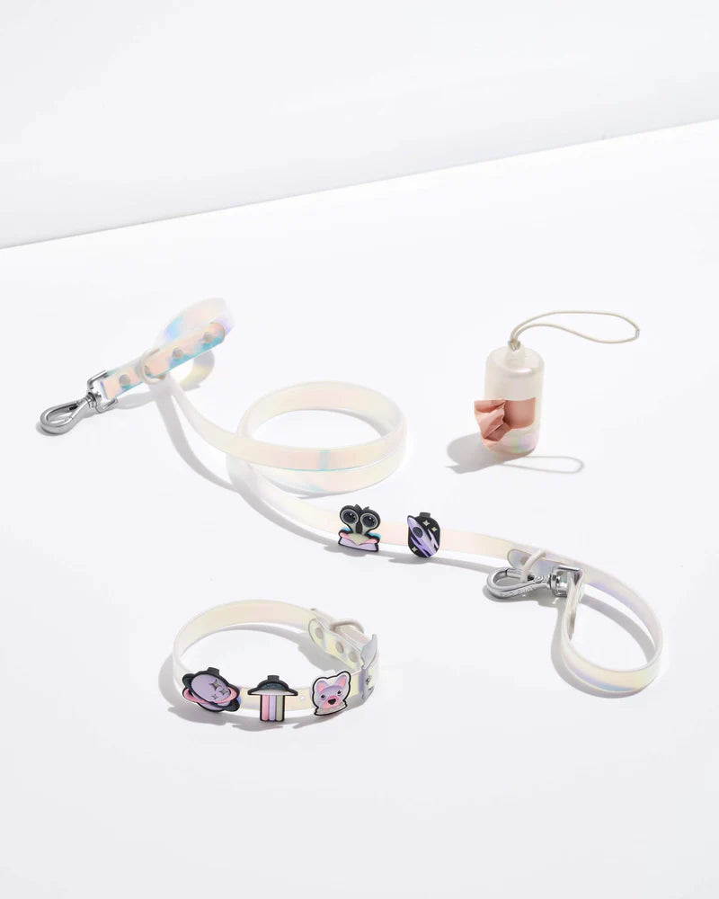 Flair Pack (For Wild One Products)