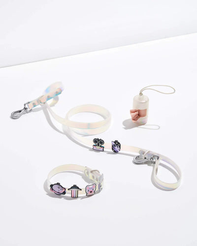 Flair Pack (For Wild One Products)