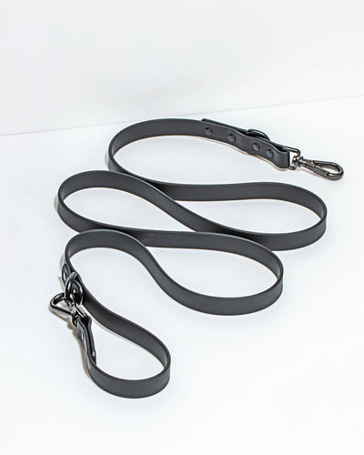 Leash - SALE