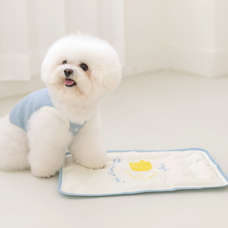 SSFW Stay Cool - Summer Cooling Mat