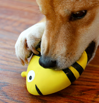 Lemon Bee Latex Dog Toy