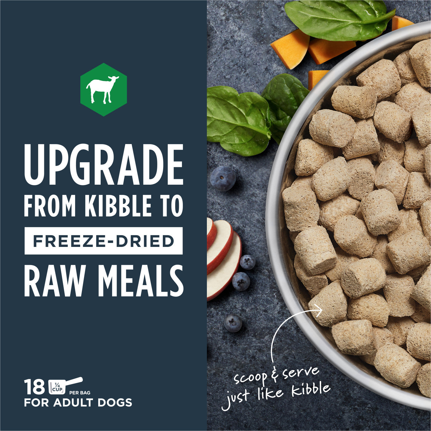 Instinct Raw Freeze-Dried Meals - Grass-Fed Lamb (For Dogs)