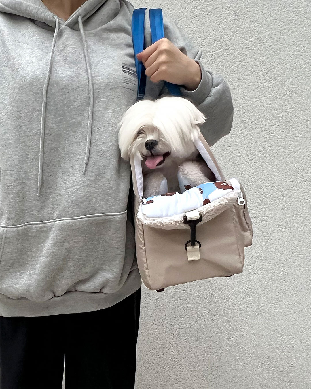 【預購】小型犬外出袋