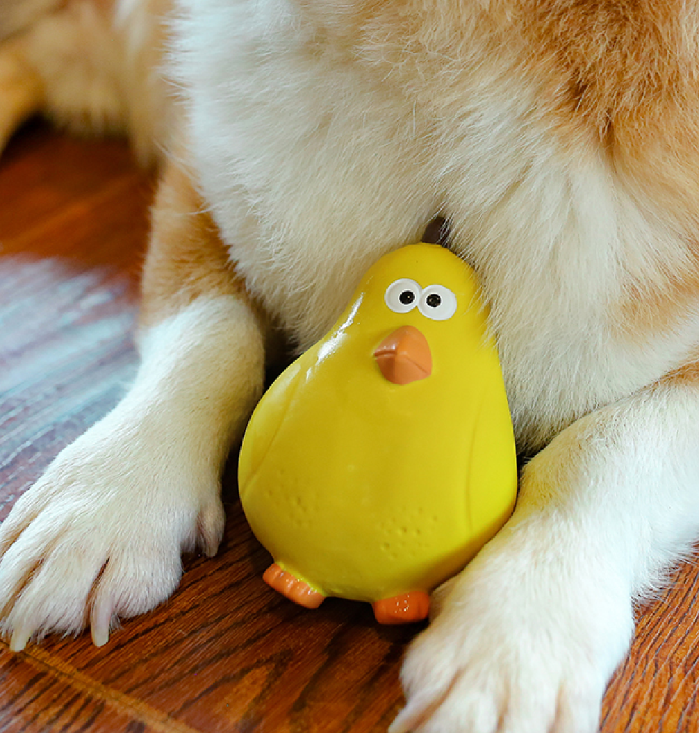 Duck in the pear rubber dog toy