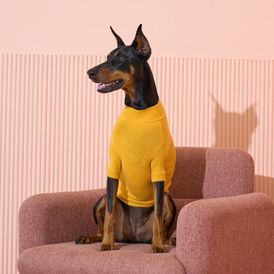 Banana Mania Knit Sweater