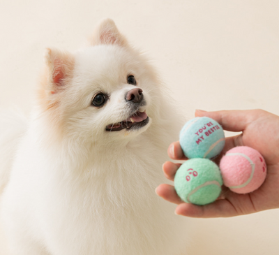 Mini Tennis Balls Toy (set of 3)