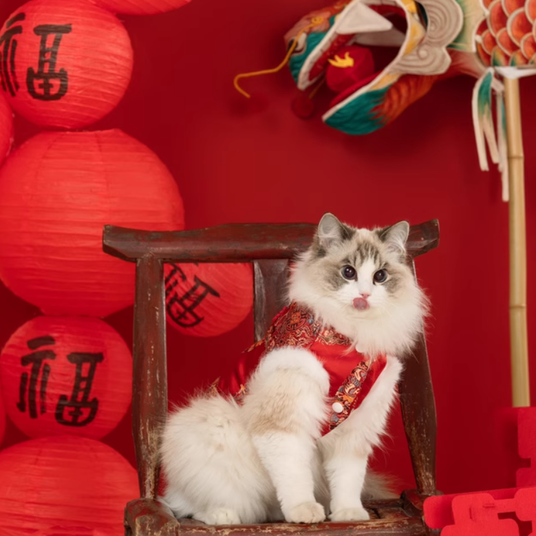 CNY Red Fluffy Tang Vest