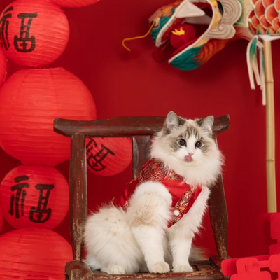 CNY Red Fluffy Tang Vest