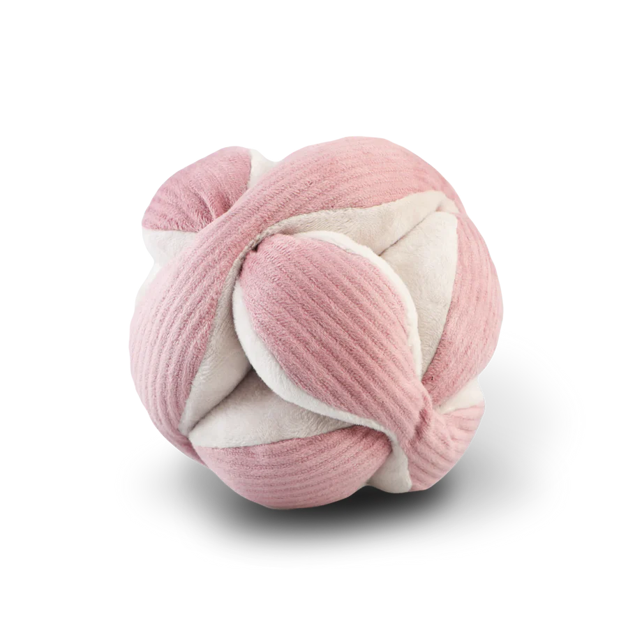 Mini MONTI Crinkle + Squeaky Snuffle Ball
